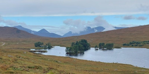 Wilderness for the Wary