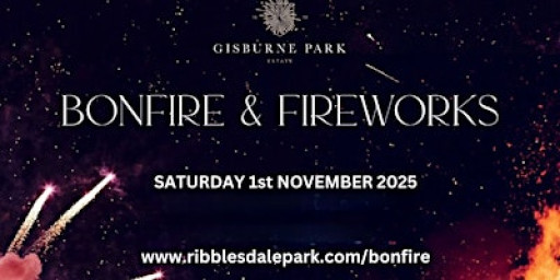 Bonfire and Fireworks at Gisburne Park Estate