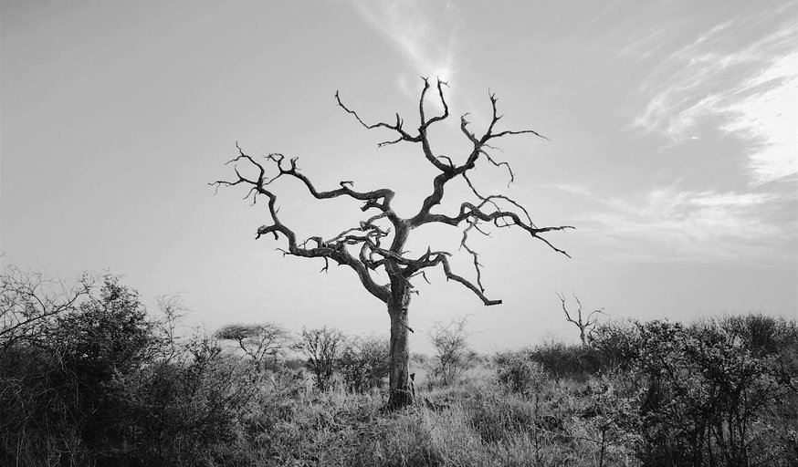 Death Meditation - An Evening of De-attachment and Letting-go