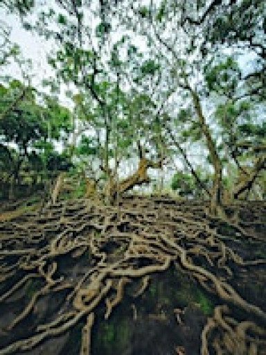 GROUND YOURSELF, CONNECTING WITH YOUR TRUE NATURE – SOUND BATH