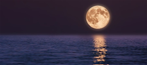 La Luna & Healing Waters: Gongs + Ocean Drum + Chimes