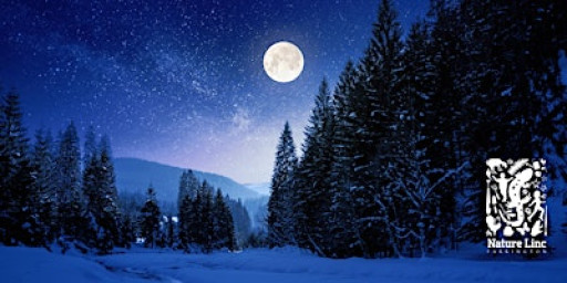 2026 Full Snow Moon Walk