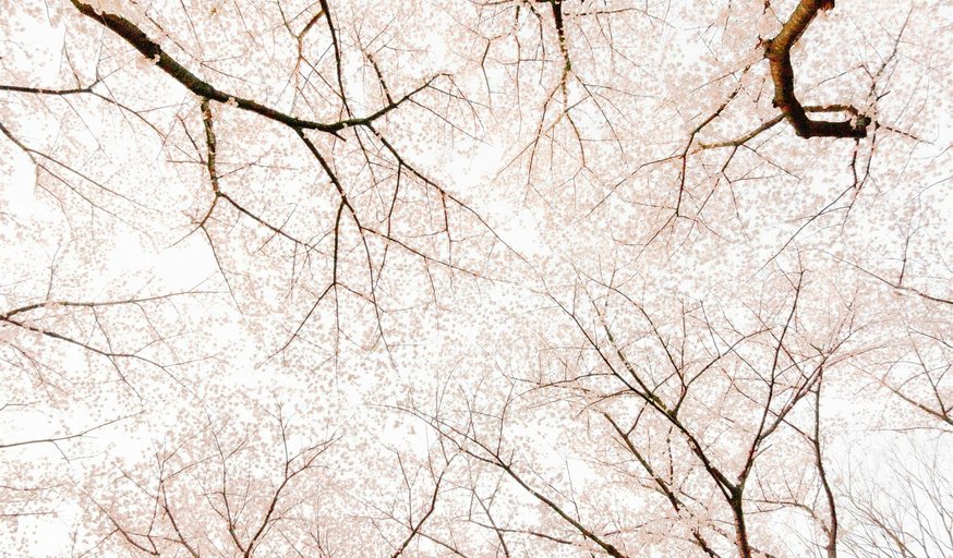 SANTAI SWARA – A MULTI INSTRUMENTS SOUNDBATH