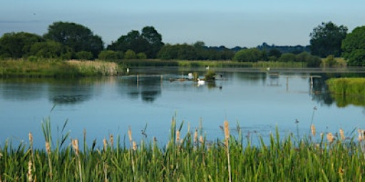 Wildlife Photography for beginners