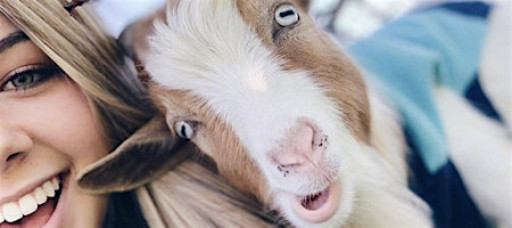 Goat Yoga McKinney @ Tupps!