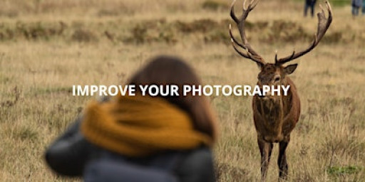 Photography Workshop : Improve Your  Photography on Exmoor