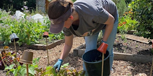 Mindful Growing Sessions