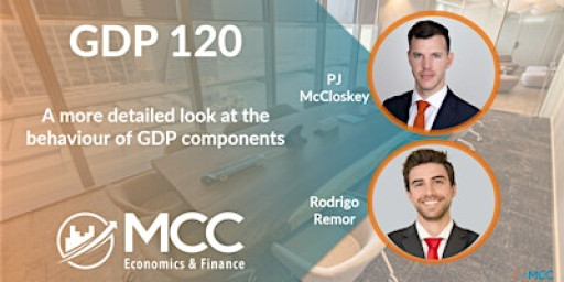 GDP 120 - A more detailed look at the behaviour of GDP components