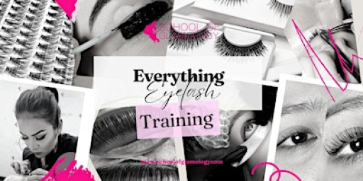 Denver, Co|Everything Eyelash Class|7 Techniques| School of Glamology