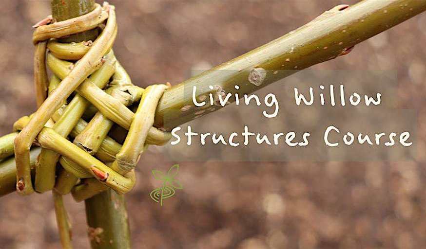 Living Willow Structures Course