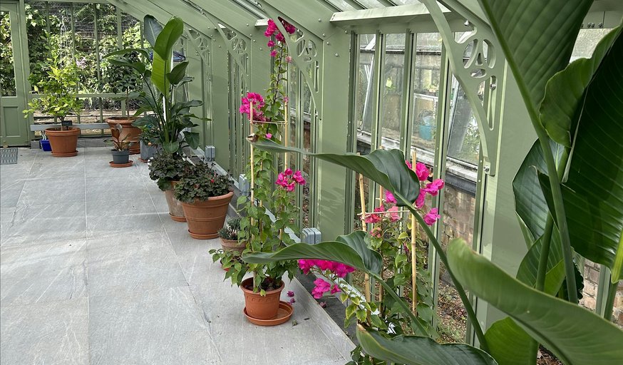 The Glasshouse Yoga Studio