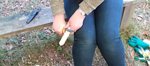 Youth Workshop: Whittling