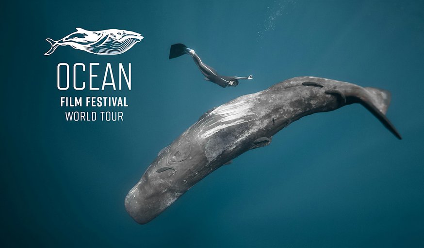 Ocean Film Festival - Norwich - 22 November 2025