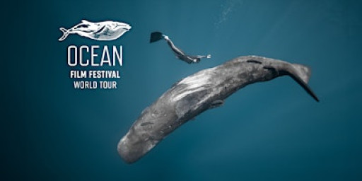 Ocean Film Festival - Dorking - 13 November 2025