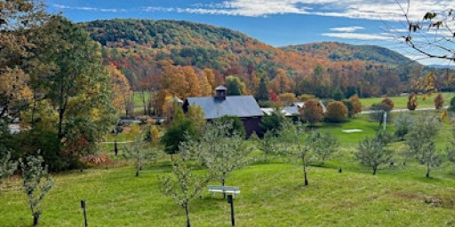 Hall Art Foundation | 2025 Season