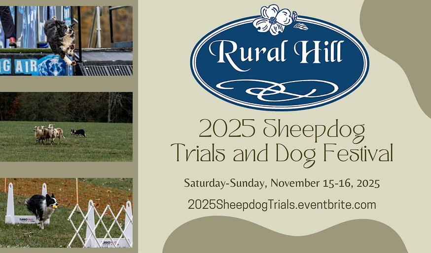 2025 Sheepdog Trials and Dog Festival