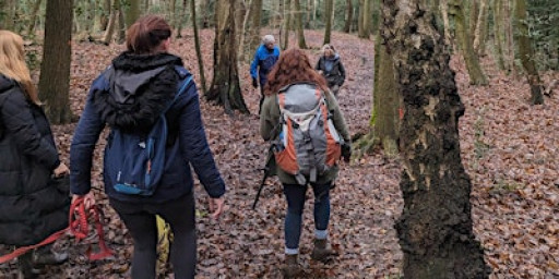 Beat the January Blues Walk