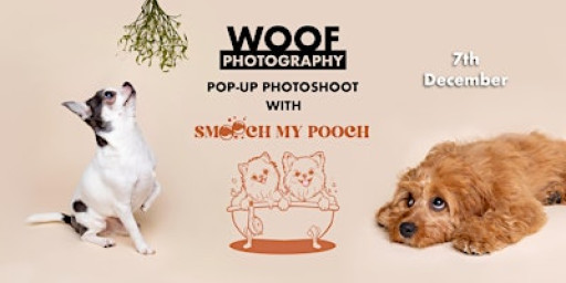 Woof Photography Pop-up Photoshoot at Smooth My Pooch, Battersea