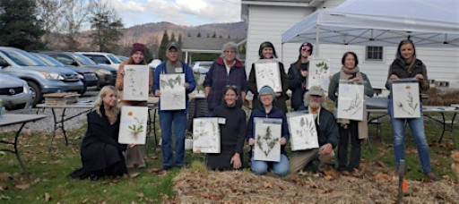 The Art and Science of Pressed Plant Vouchers