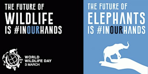 GPF Executive Program in Port Wildlife Protection, 12-16 Jan 2026,SPR