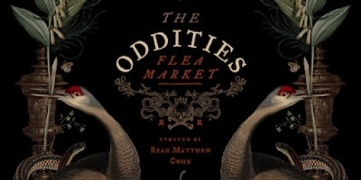 Oddities Flea Market: New York City 2025