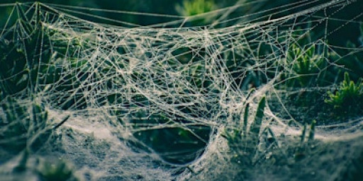 Ethics Study Day (Leyland): The Doctrine of Concupiscence