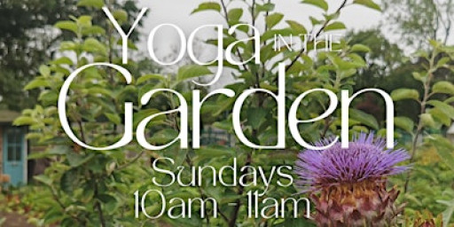 Slow Sundays - Yoga In Nature