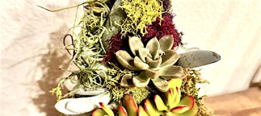 A Starred Succulent Tree DIY
