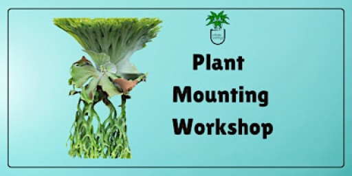 Plant Mounting Workshop