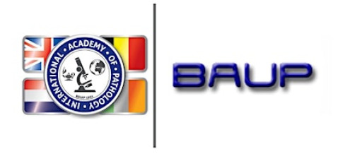 BDIAP/BAUP Symposium on Urological Pathology