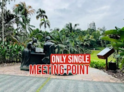 ONLY SINGLE, JUST A SUNSET RUN /DINNER WITH NEW PEOPLE / The Dinner App