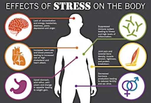 Stress Management & Healthy Living