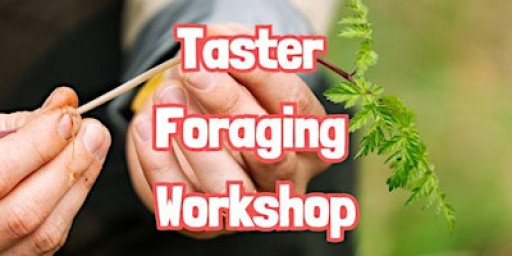 TASTER Foraging Workshop near Telford (Shropshire)