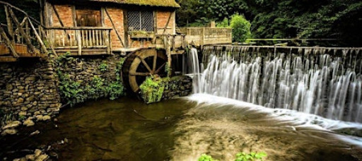 Master Your Camera Controls and Composition in the Field - Photo Workshops