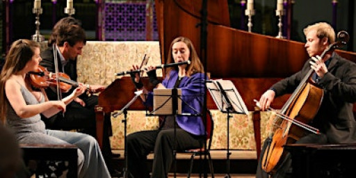 Concert - Pocket Sinfonia
