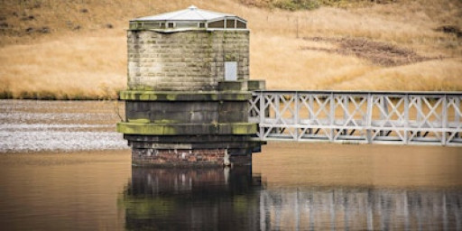 Beginners Photography Workshop