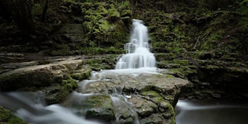 Nourishing Roots with Catherine Todd – ‘Silence Inside’