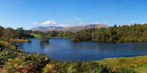 Spring Awakenings at Tarn Hows: Nature & Landscape Photography Workshop