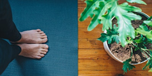 Mindful Yoga (10/20 – 11/17)