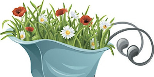 Introducing Allotments Law and Management to Local Councils