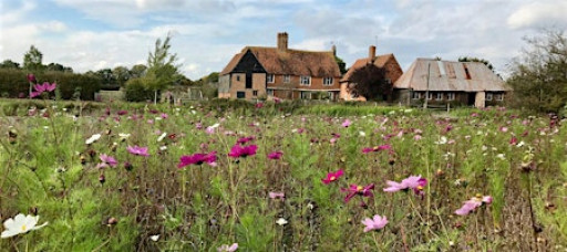 Mindfulness Through Art at Horsenden Farm