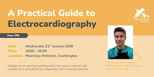 A Practical Guide to Electrocardiography