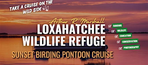 Sunset Pontoon Cruise at ARM Loxahatchee NWR