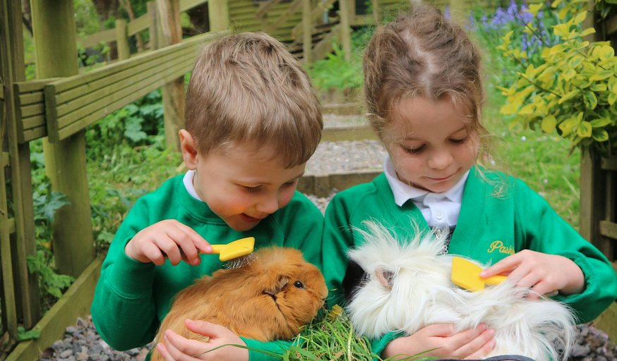 Open Morning 11th November