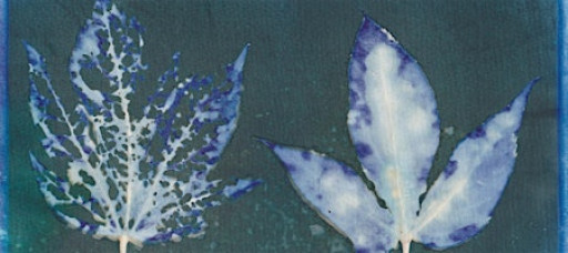 Intro to Cyanotype Prints