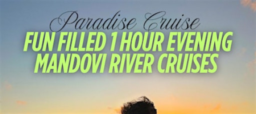 Fun filled 1 Hour Evening Mandovi River Cruises