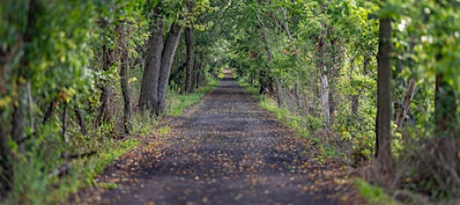 ‘This is the way; walk in it.’ A directed retreat