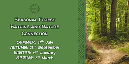 Seasonal Forest Bathing and Nature Connection
