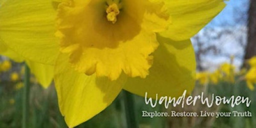 Renewal & Balance: Embracing the Spring Equinox