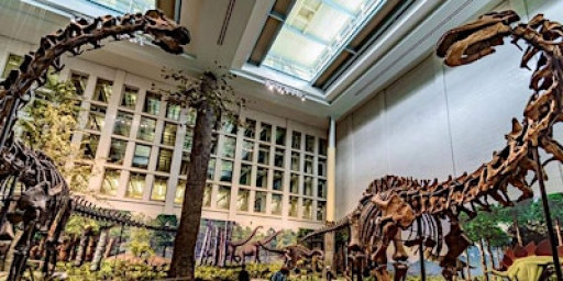 Science Bowl (Grades 4-8)